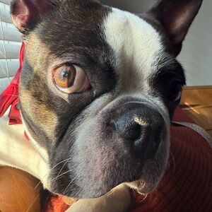 Meet your Posher, Jasmin